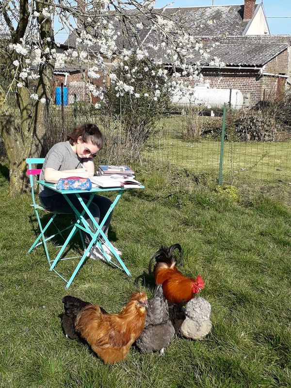 Accueil Institution Notre Dame de Ham