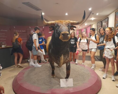 493583500_1397382249054053_9120808567717455421_n 493583500_1397382249054053_9120808567717455421_n