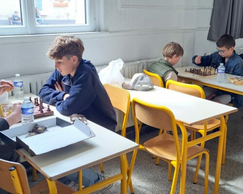 503389237_1382627947196150_6116605787243468139_n