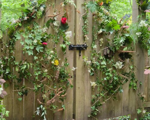 505385456_1389005936558351_1259401697213442170_n 505385456_1389005936558351_1259401697213442170_n