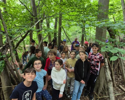 505522430_1389005843225027_7806637392822758865_n 505522430_1389005843225027_7806637392822758865_n