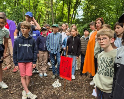 505783658_1389005859891692_4634094755895280157_n 505783658_1389005859891692_4634094755895280157_n