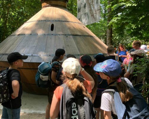 506463361_1392730946185850_4736702859807097019_n