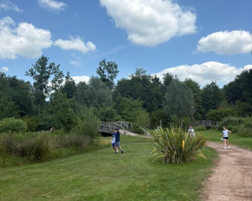 506481997_1397402082385403_6386477128742369203_n