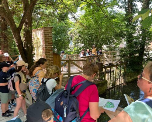 506903480_1392731099519168_1068024379821928377_n