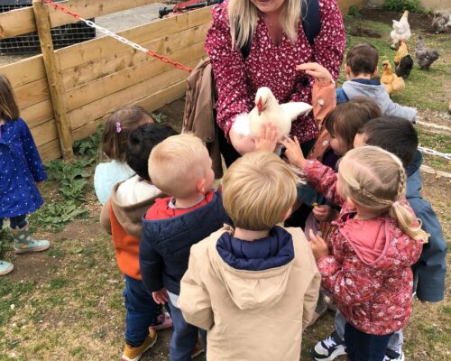 507076927_1394686969323581_5102977649077024902_n