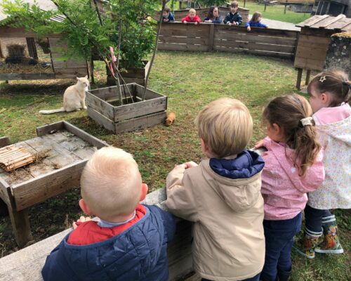 507994207_1394686989323579_3368883105834499304_n