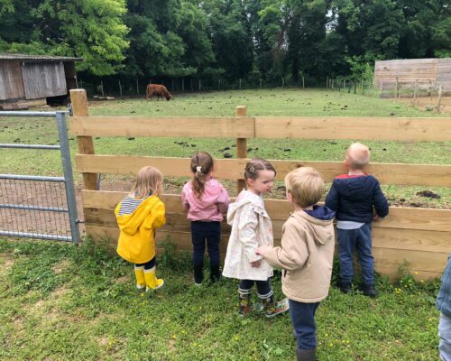 508001991_1394686979323580_2803268366886767358_n