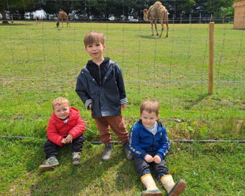 508005878_1394686779323600_5535018774494277193_n