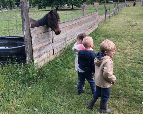 508010620_1394686759323602_7467204864322688917_n