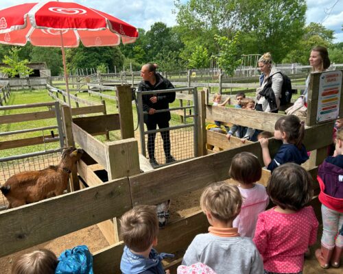 508112153_1394686699323608_3275240156218844527_n