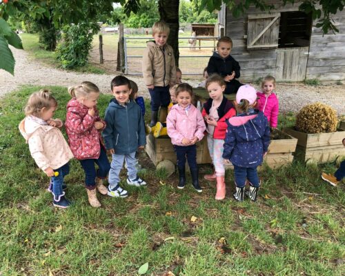 508139213_1394686782656933_1537117537182454496_n