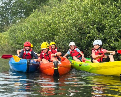 508164809_1395521652573446_8751280051830292535_n 508164809_1395521652573446_8751280051830292535_n