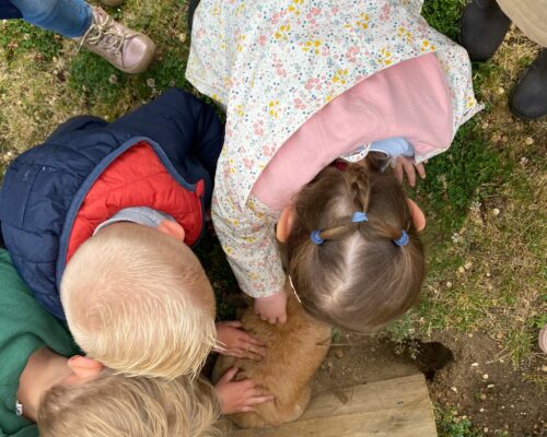 508172028_1394686792656932_6534902408940737308_n