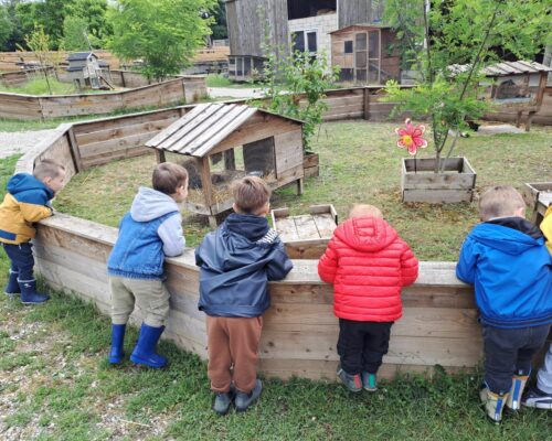 508179050_1394686755990269_3055139728455941515_n