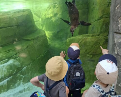 508197464_1396555735803371_4489992293285203367_n