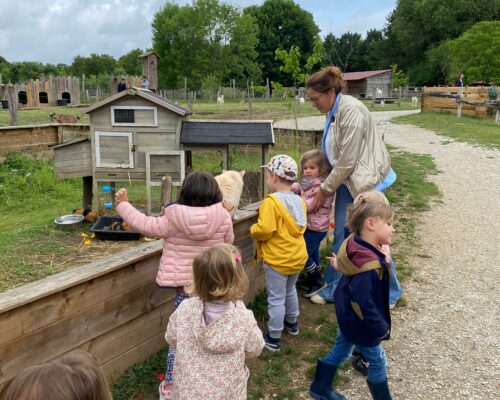 508225200_1394686709323607_7286868663455305996_n