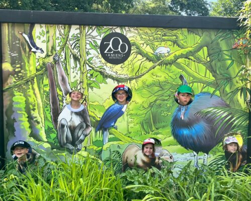 508490817_1396555732470038_761733465198343556_n