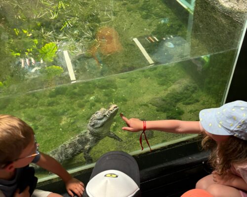 508843103_1396555785803366_1921043708679514039_n