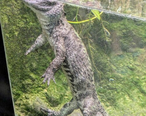 509229670_1396555739136704_13912666010947588_n