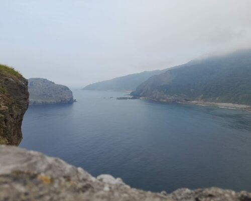 509271805_1398948432230768_5159467038369962091_n 509271805_1398948432230768_5159467038369962091_n