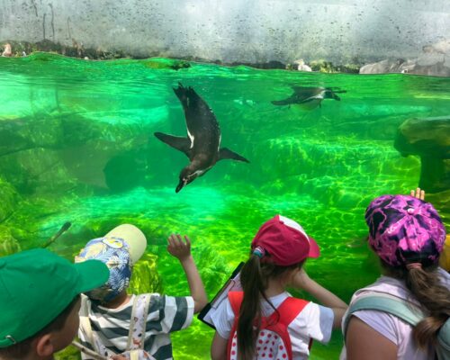 509305834_1396555722470039_5192389489481605205_n