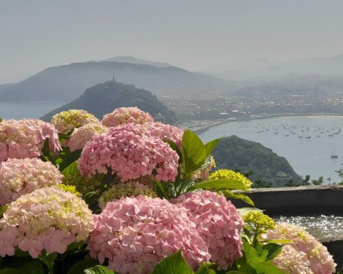 509432965_1399145718877706_5785420992123822848_n 509432965_1399145718877706_5785420992123822848_n