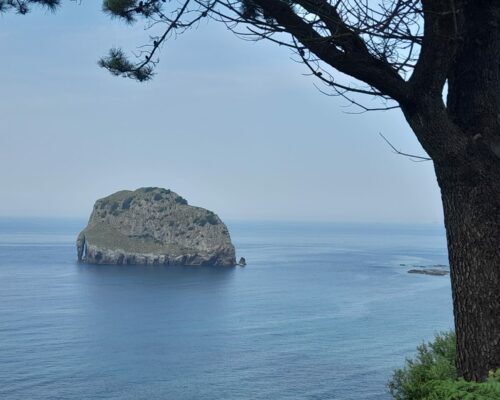 510455157_1398948472230764_7887087327529325079_n 510455157_1398948472230764_7887087327529325079_n