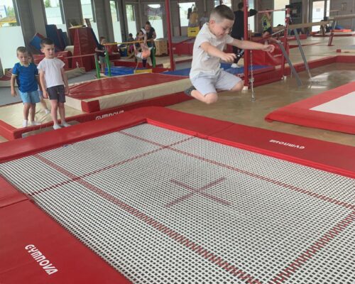 511721093_1403169398475338_6755621781662601235_n