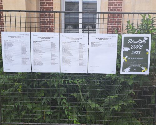 517964164_1417476313711313_4365104153921784313_n 517964164_1417476313711313_4365104153921784313_n