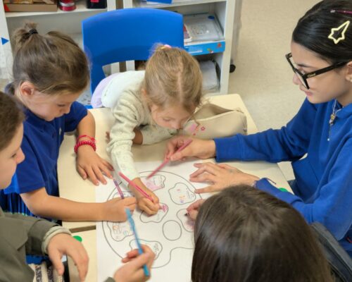 549346340_1481122357346708_6559663128865436405_n