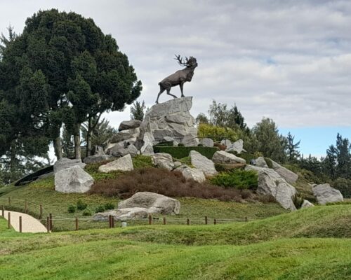 550934566_1486899856768958_8995491116270419185_n 550934566_1486899856768958_8995491116270419185_n