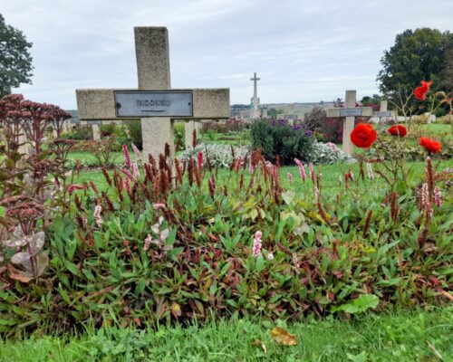 551009591_1486899743435636_1726515265357314834_n 551009591_1486899743435636_1726515265357314834_n