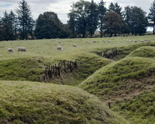 553594529_1486899950102282_4426626998673454089_n 553594529_1486899950102282_4426626998673454089_n