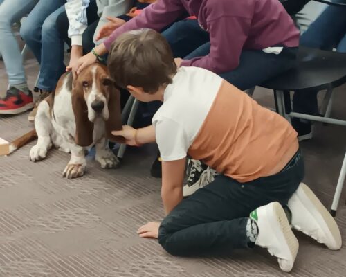 556108602_1227809192722575_7488671871952549942_n