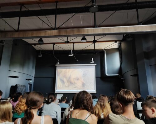 556552164_1227809749389186_4093011736329883246_n