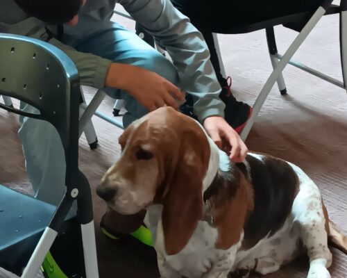 557523416_1227809152722579_2440884580913782172_n