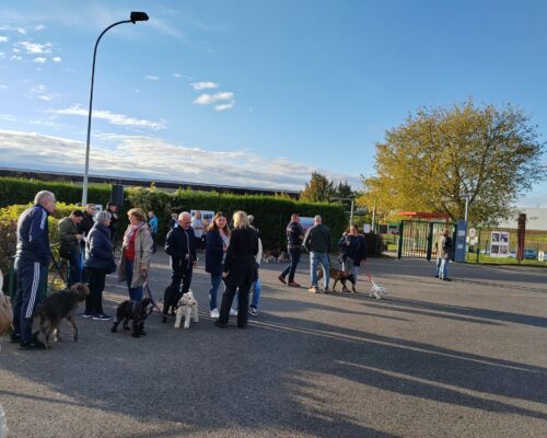 557636320_1227810046055823_1165638067614196334_n