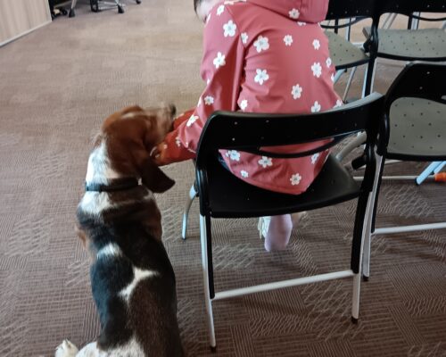 557683682_1227809502722544_6175666521028818668_n