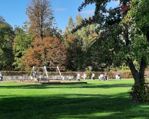 566206176_1511209587671318_6251078199163815586_n