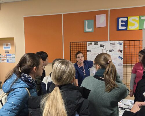 576881321_1528322659293344_2409628423948534917_n 576881321_1528322659293344_2409628423948534917_n