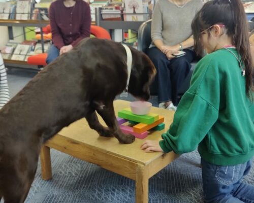 592892884_1553454146780195_5125212091397902640_n 592892884_1553454146780195_5125212091397902640_n