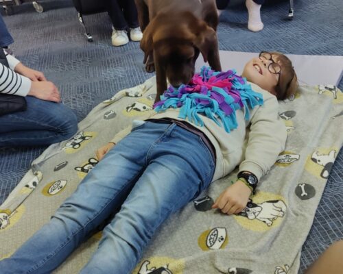 592950555_1553454150113528_5830983558294993305_n 592950555_1553454150113528_5830983558294993305_n