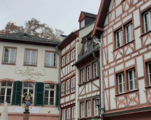 593497332_1553450910113852_6118089513233573541_n 593497332_1553450910113852_6118089513233573541_n