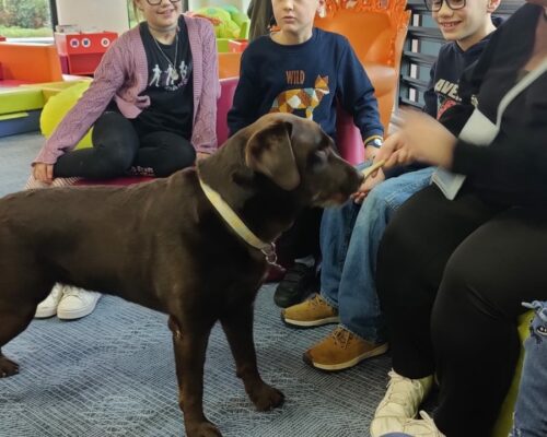 593741349_1553454136780196_8228917627207500627_n 593741349_1553454136780196_8228917627207500627_n