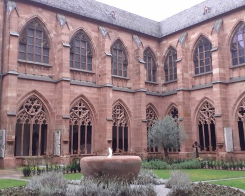 594038405_1553450906780519_4491363108841908717_n 594038405_1553450906780519_4491363108841908717_n