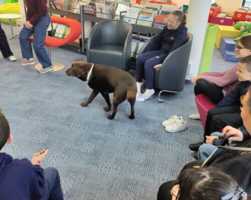 594526629_1553454110113532_5185881747978301784_n 594526629_1553454110113532_5185881747978301784_n