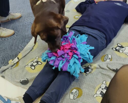 594526807_1553454123446864_767623861009422541_n 594526807_1553454123446864_767623861009422541_n