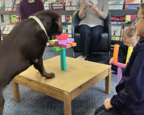 594614054_1553454153446861_48536652539143525_n 594614054_1553454153446861_48536652539143525_n