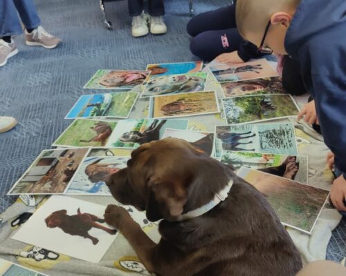 594977169_1553454120113531_4287175570422535100_n 594977169_1553454120113531_4287175570422535100_n